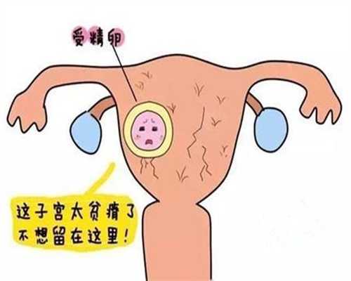 上海代孕方式，上海供卵代孕报价表，上海代孕妈妈明码标价