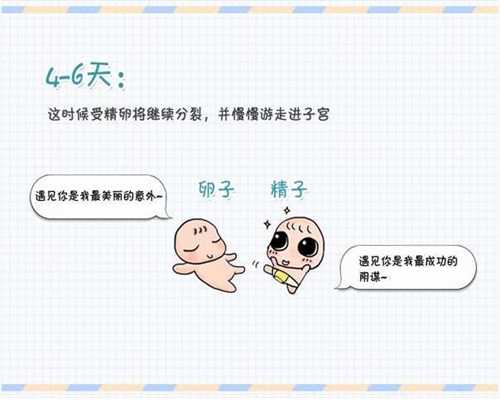 上海代孕宝宝，上海试管哪里最好，上海试管第一次检查要几天