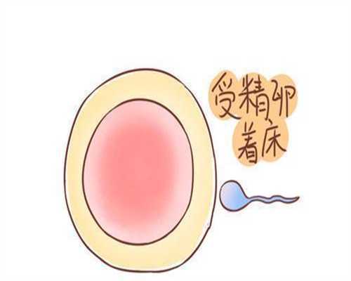 上海代孕单价-上海三代试管-上海做试管经期都检查什么