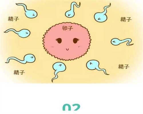 上海代孕网`上海代孕孩子价格`上海试管代孕的孩子优缺点