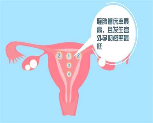 上海代孕办理~上海代怀孕在哪~上海代孕身体具备条件