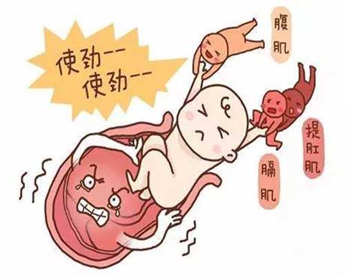 上海代孕哪里技术好_上海代孕哪里有做