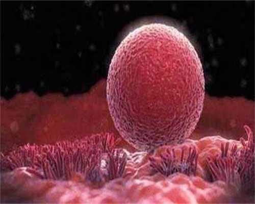子宫内膜-孕育揭秘：子宫环境对试管婴儿成功率有影响吗？