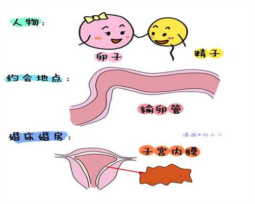 试管婴儿北京哪家医院做的好？怎样监测排卵？