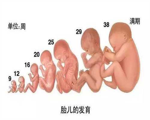 做试管婴儿可以选择性别吗？北京做试管那个医院好