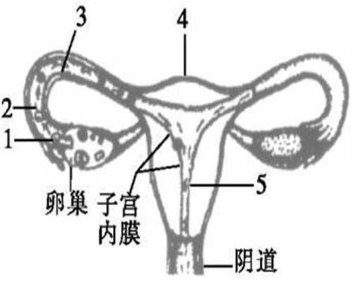 试管婴儿胚胎移植后腹部两侧痛是不是宫外孕？