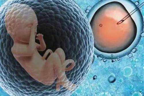 上海助孕试管婴儿冷冻胚胎是怎么回事？
