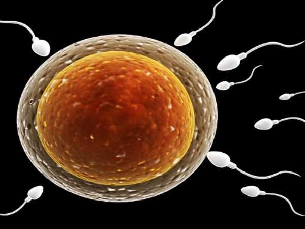 来看看14个胚胎养囊能成多少个，只剩3个一定要找原因